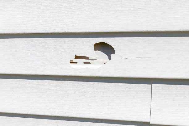 Best Foreclosure Cleanout  in St Augustine Beach, FL